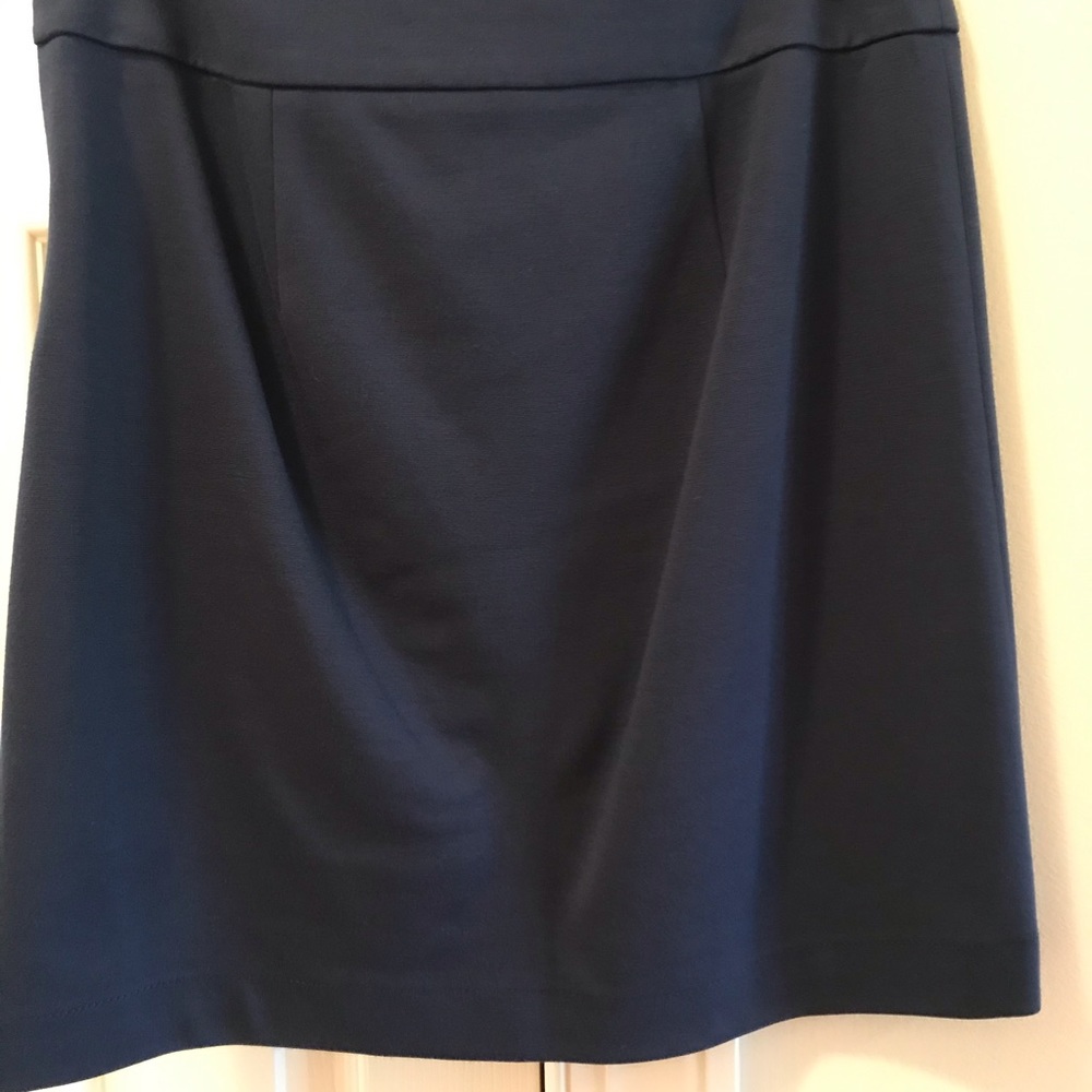 Banana Republic Navy Skirt